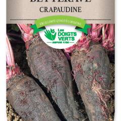 Betterave crapaudine - Graines Caillard